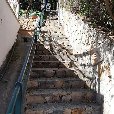 Oli -