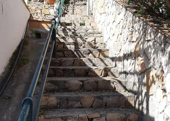 Oli -